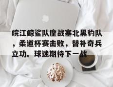 南宫体育-皖江鲸鲨队鏖战塞北黑豹队，柔道杯赛击败，替补奇兵立功。球迷期待下一战的简单介绍